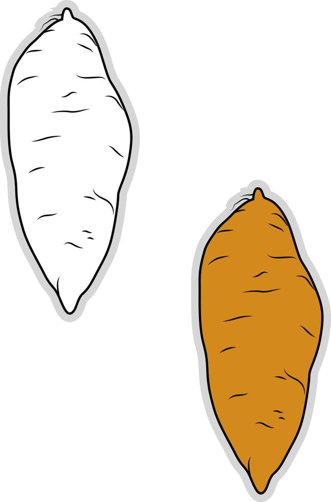 Fresh yam, illustration, vector on white background.