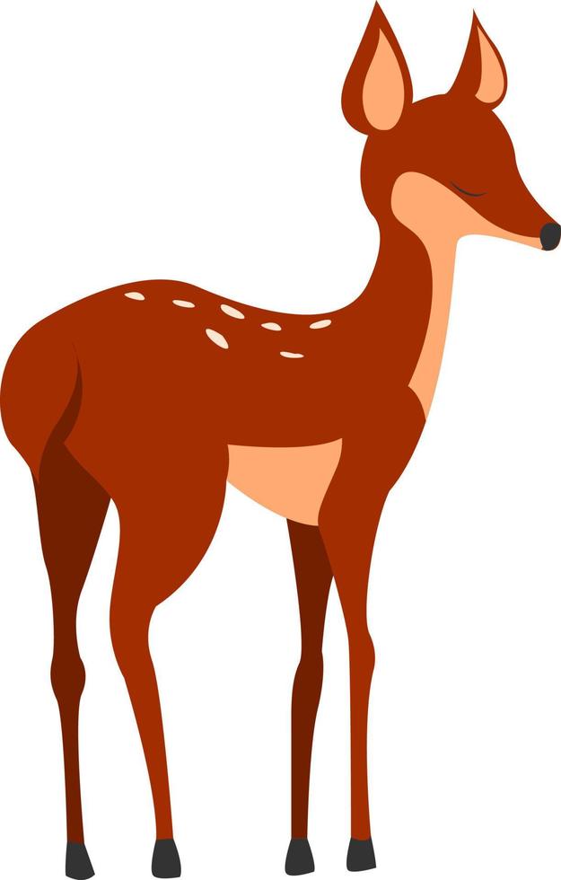 Fawn, illustration, vector on white background.