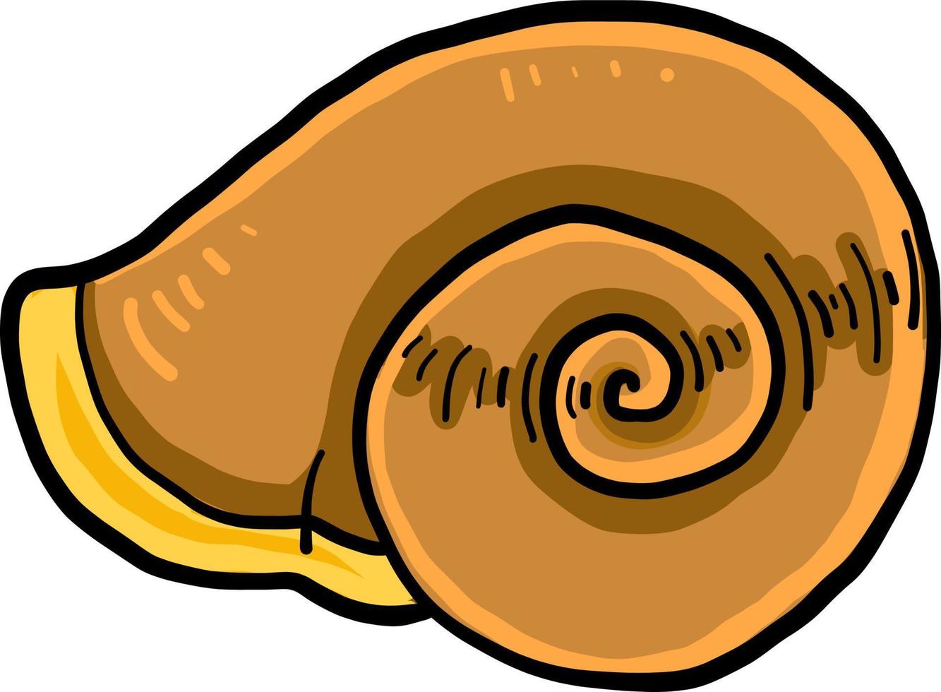 Beautiful shell, illustration, vector on white background