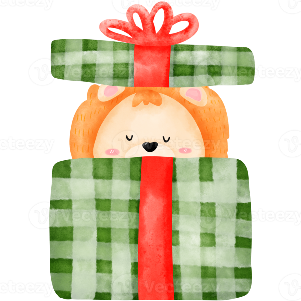 lion in gift box png