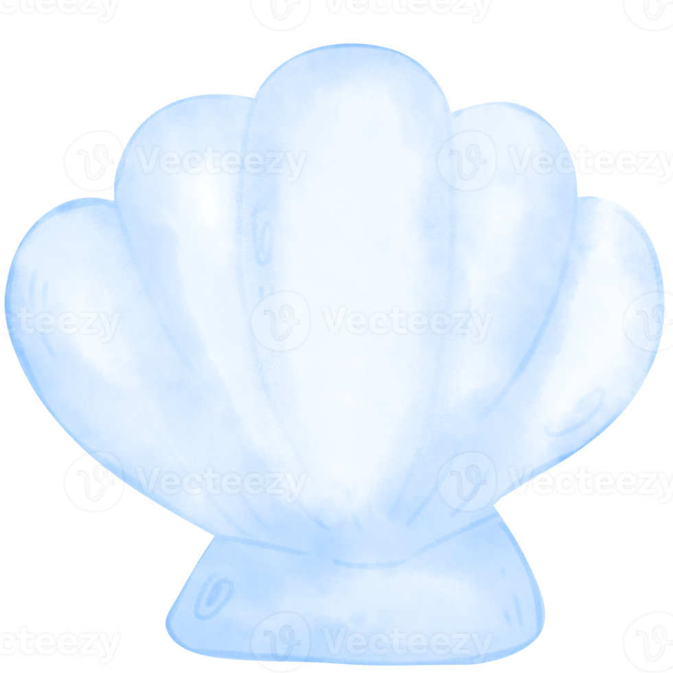 coquille de mer aquarelle png