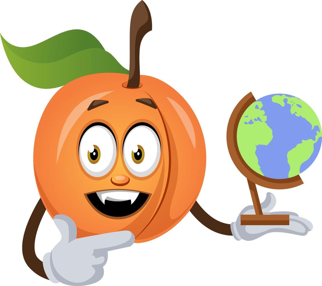 Apricot with globe, illustration, vector on white background.