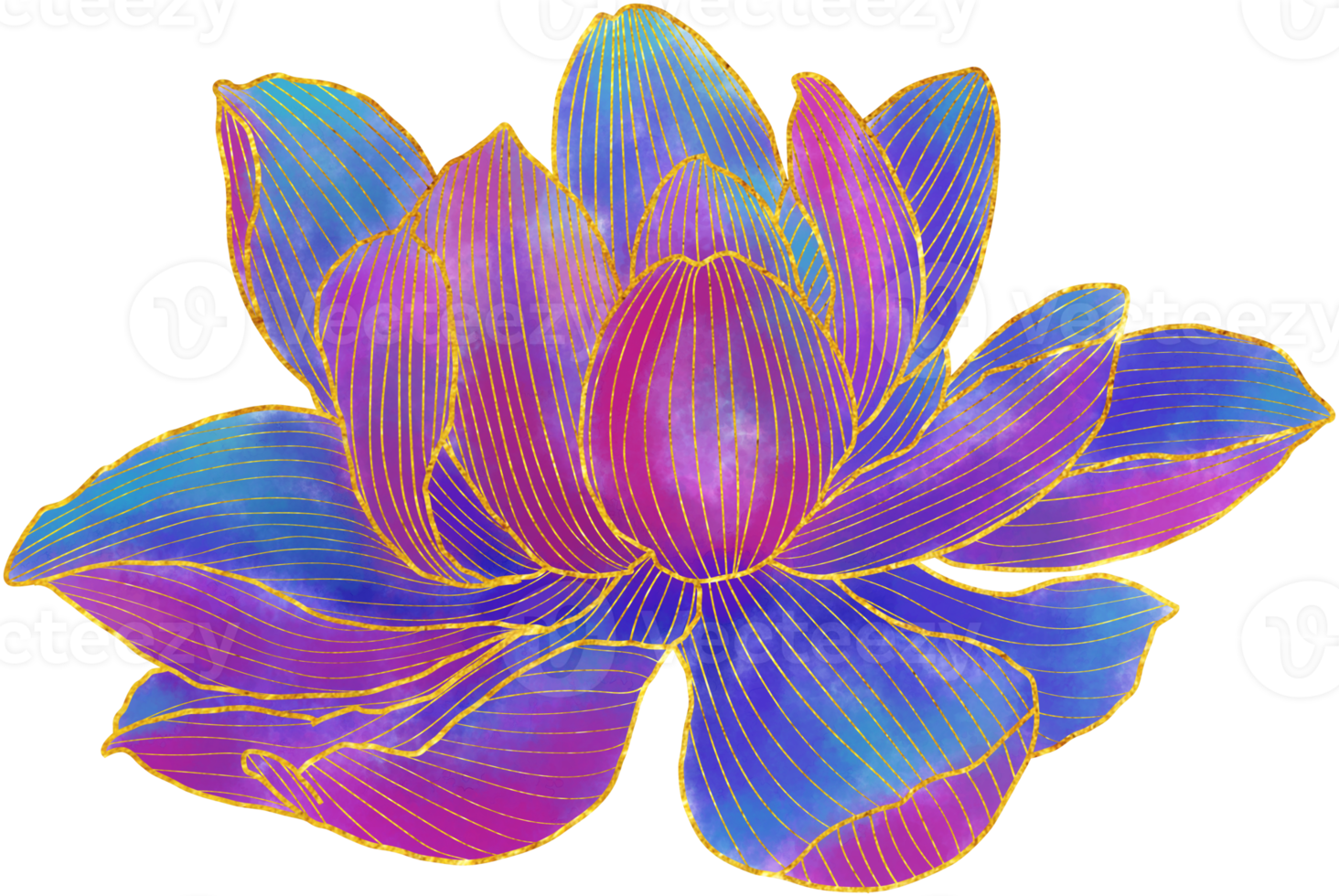 Hand drawn golden lotus flower ornament png