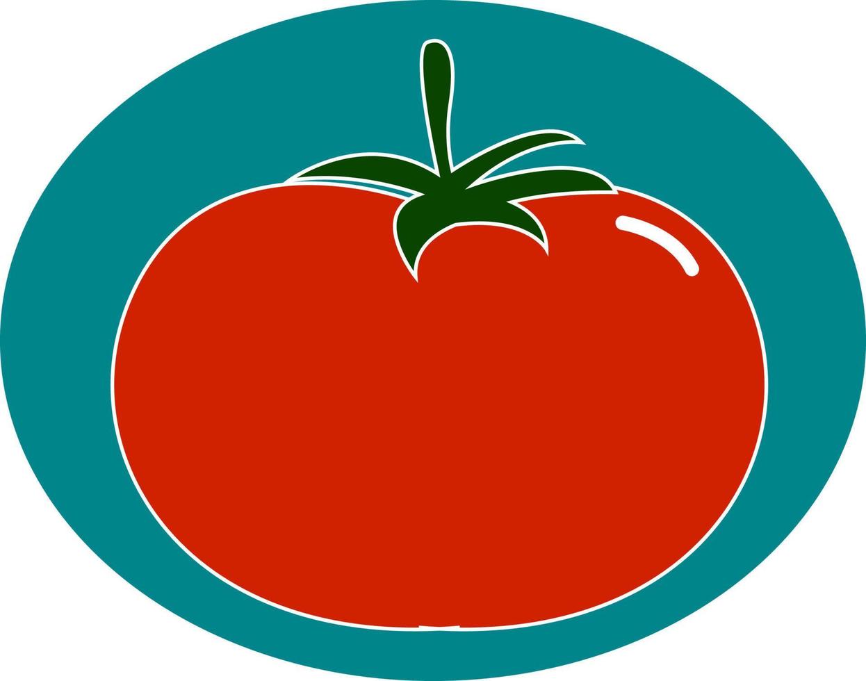 A tasty tomato, illustration, vector on white background.