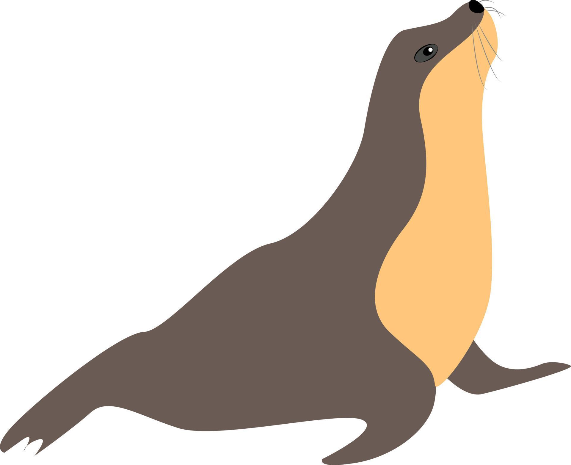 Seal, illustration, vector on white background. 13520192 Vector Art at