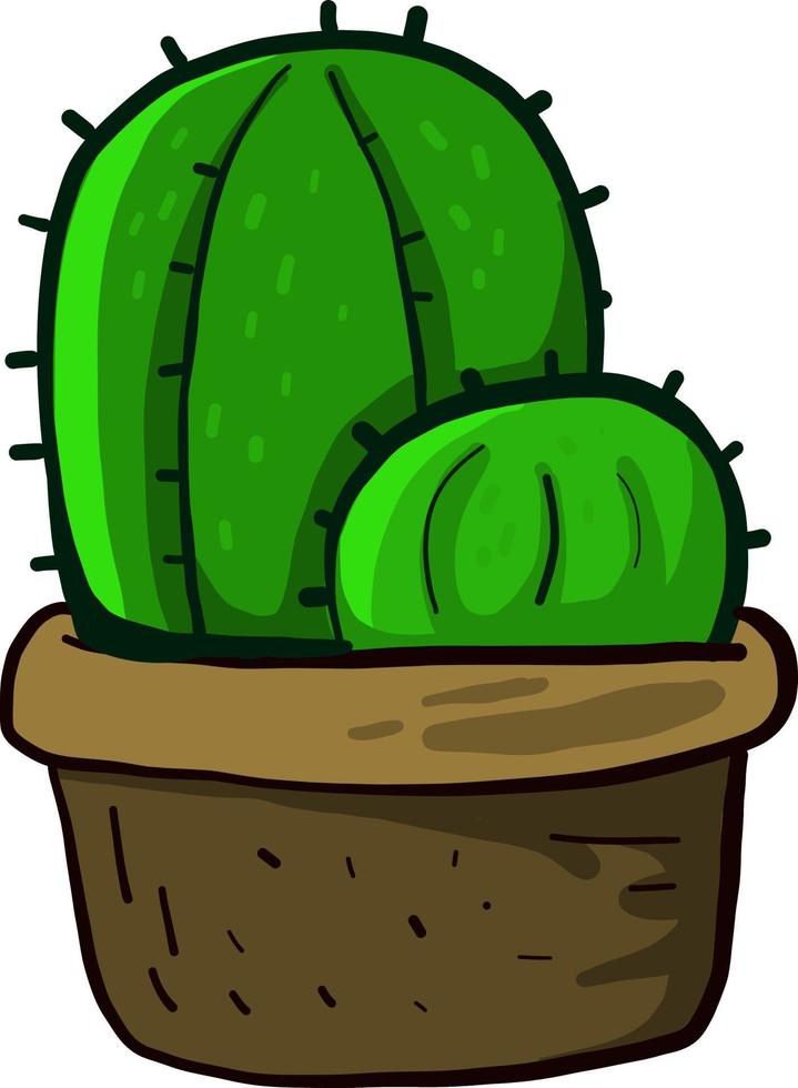 dos cactus en una olla, ilustración, vector sobre fondo blanco.