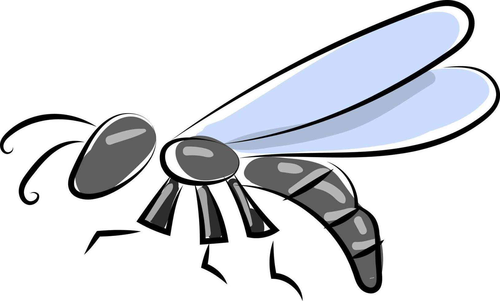 Insect, illustration, vector on white background.