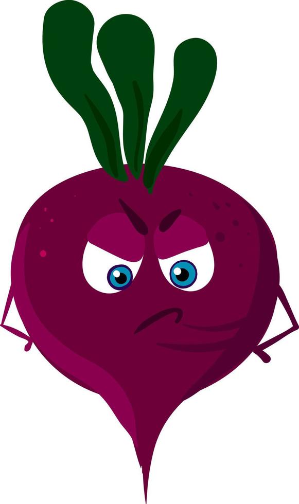 Angry beet, illustration, vector on white background.