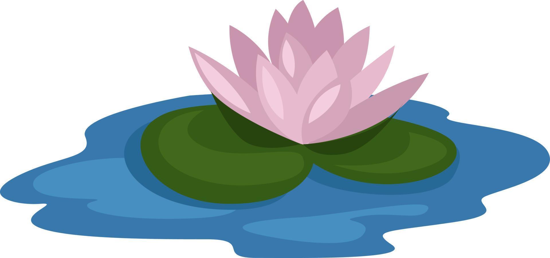 Water flower, illustration, vector on white background.