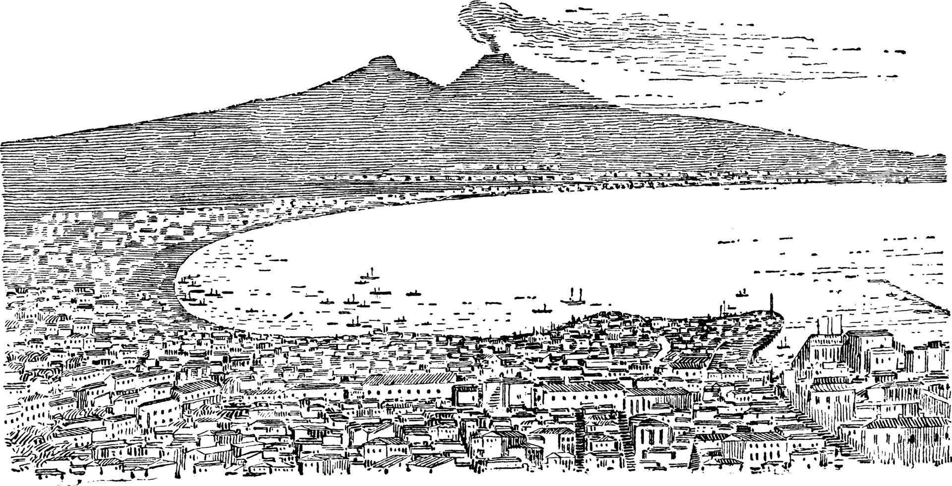 Bay of Naples and Vesuvius, vintage illustration. vector