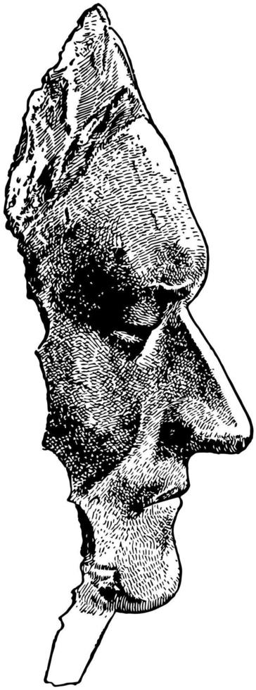 Death Mask of Sir Isaac Newton, vintage illustration vector
