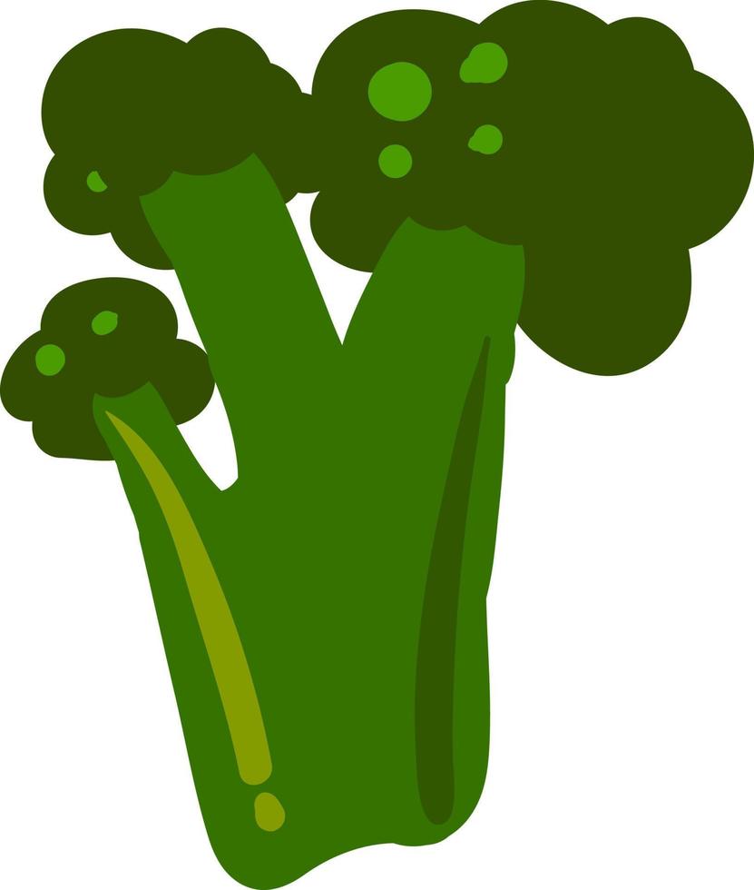 Brócoli verde, ilustración, vector sobre fondo blanco.
