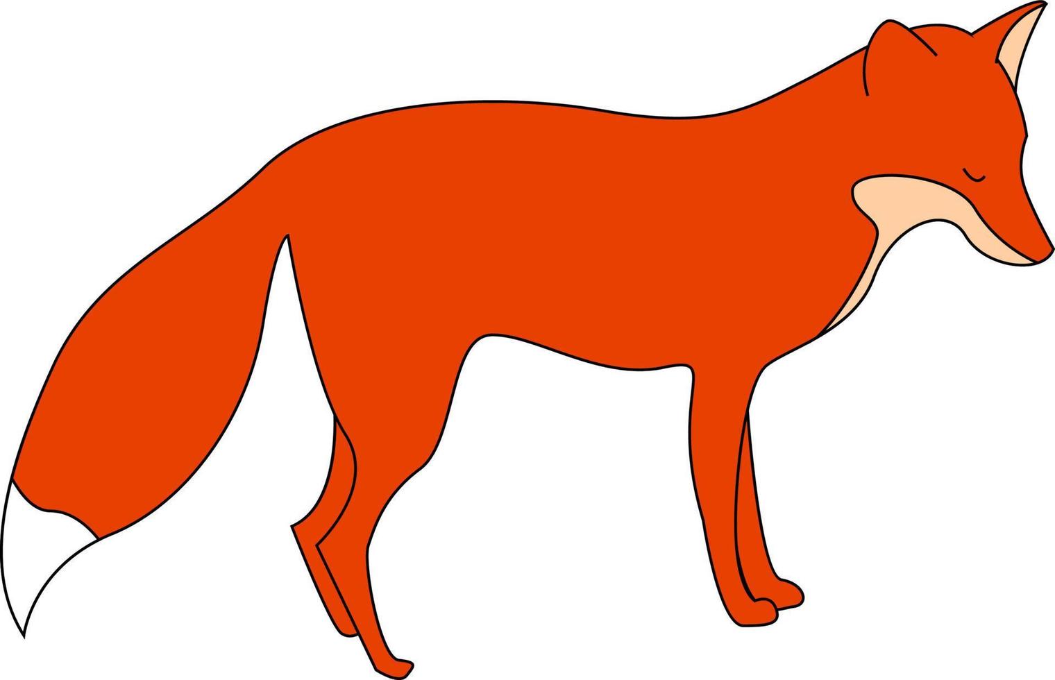 Red fox, illustration, vector on white background.