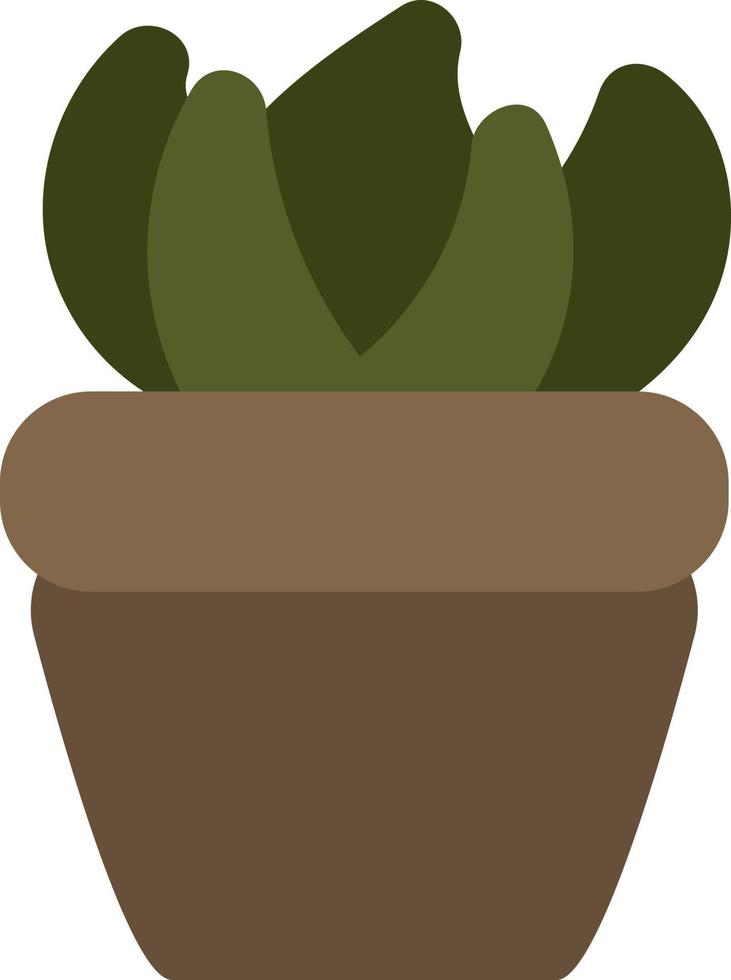 Aglaonema plant in pot, illustration, on a white background. vector