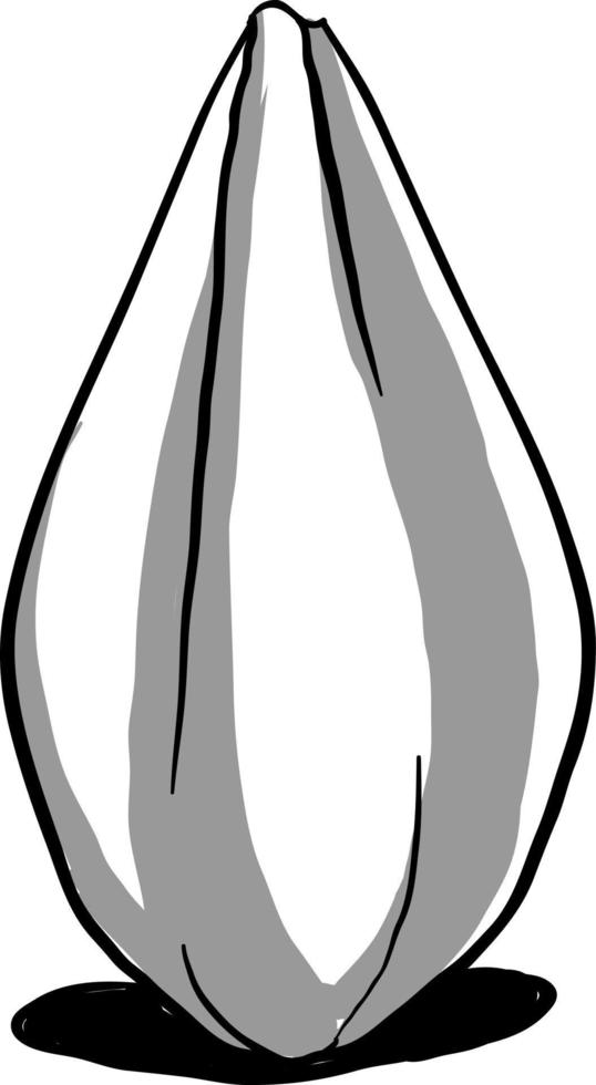 Sunflower seed drawing, illustration, vector on white background.