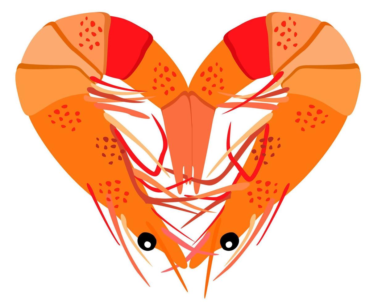 Two shrimps lying in a shape of heart. vector