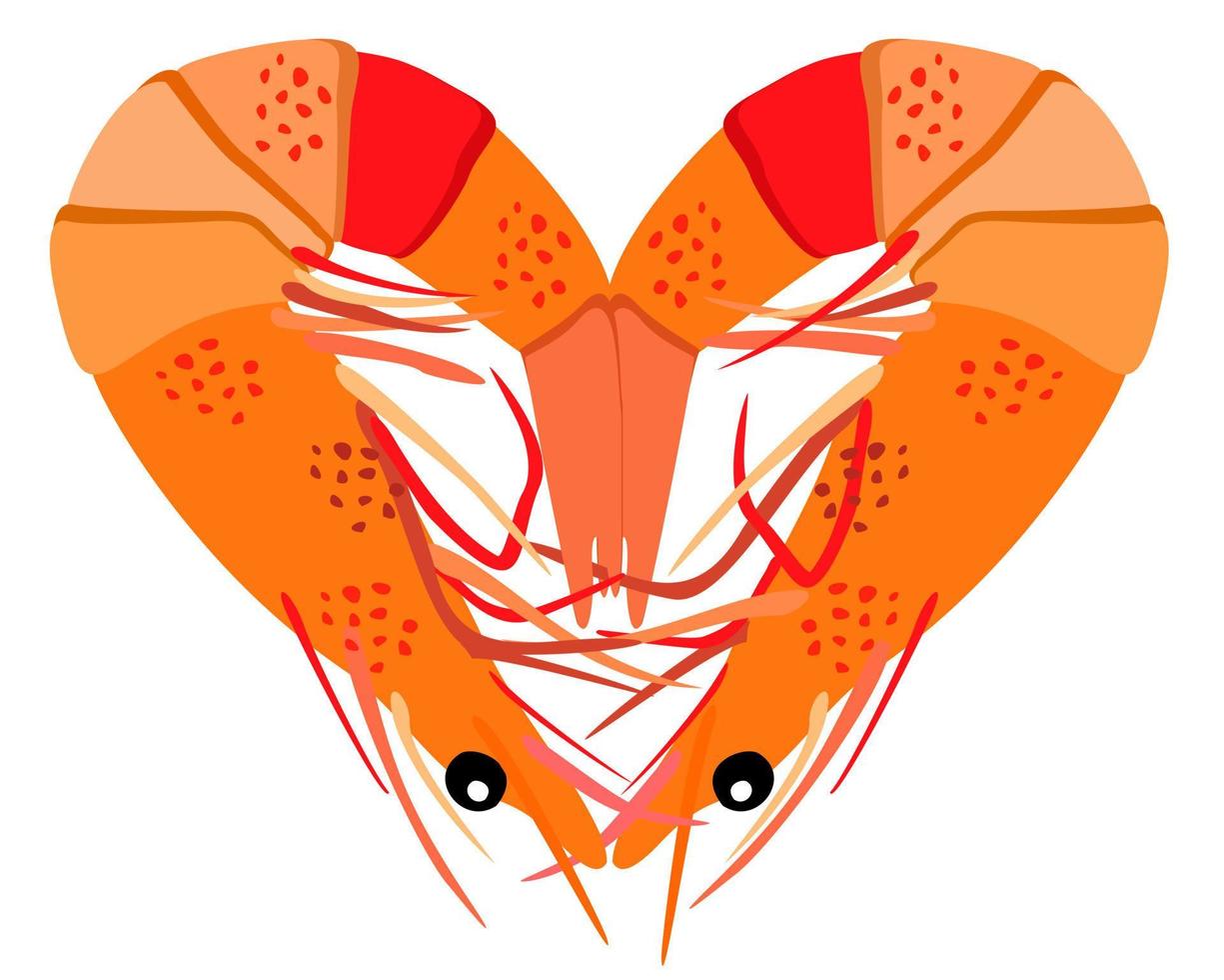 dos camarones acostados en forma de corazón. vector