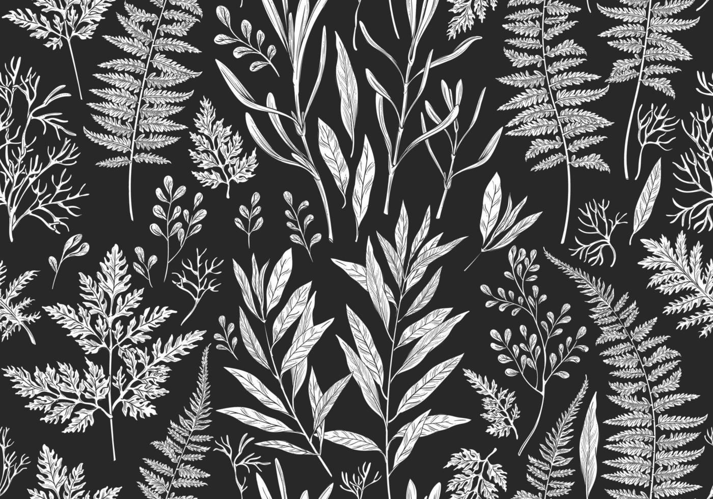 Botanical illustration. Seamless pattern. vector