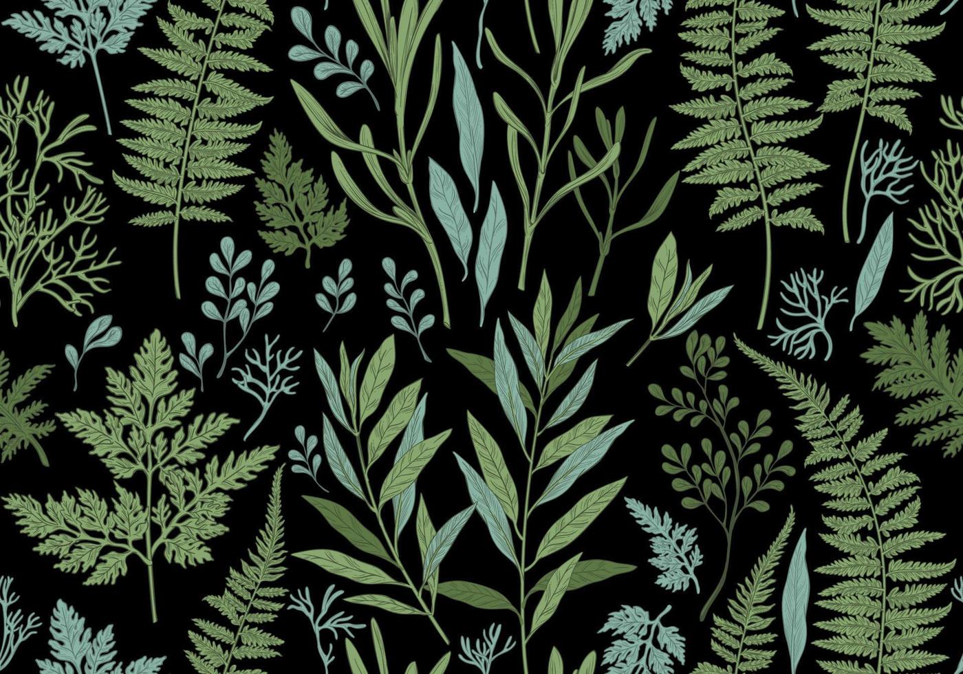 Botanical illustration. Seamless pattern. vector