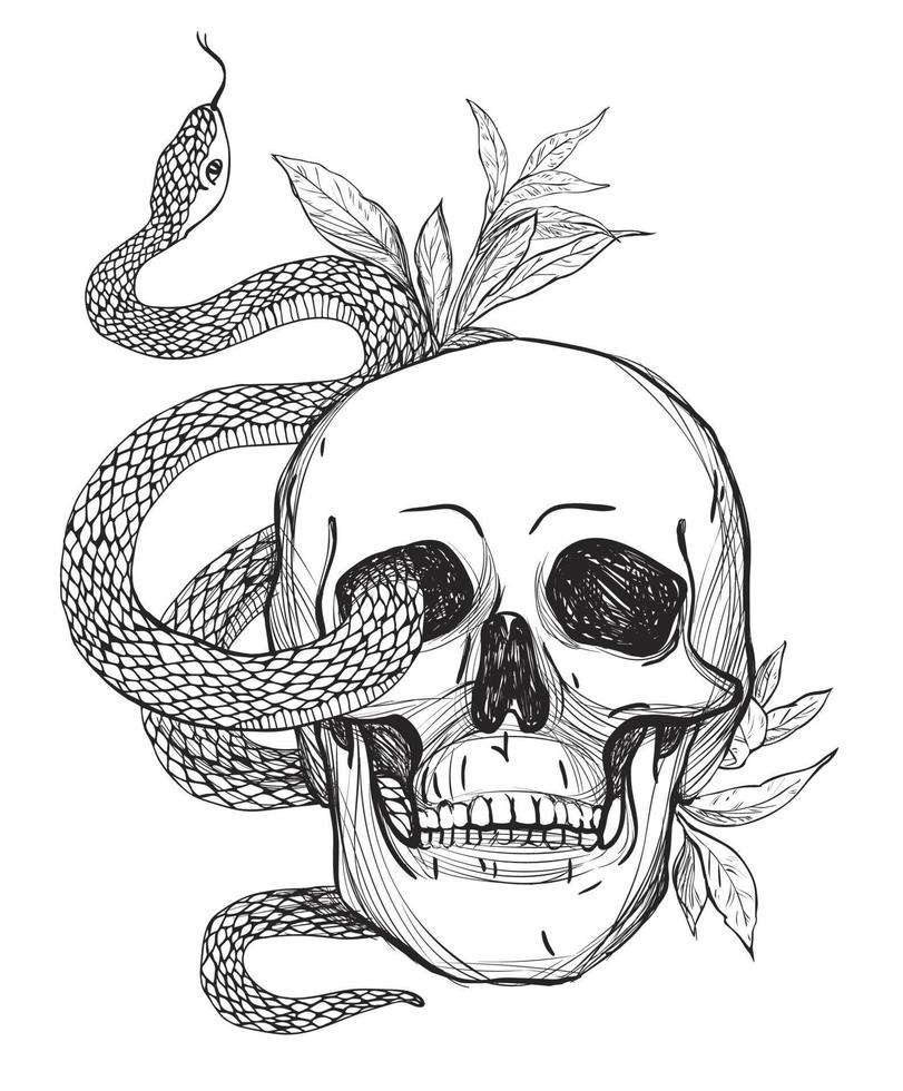 Skull and Snake. Vintage Vector illustration