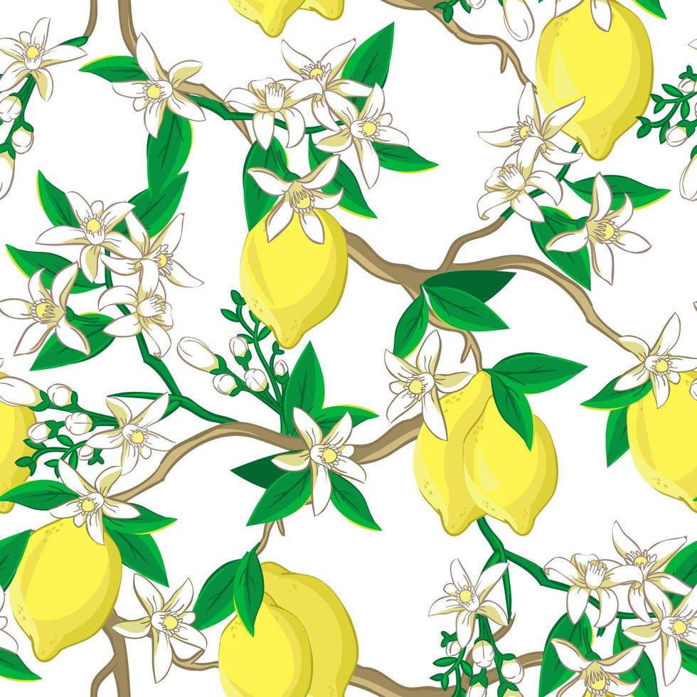 Floral pattern with lemons and white flowers. vector