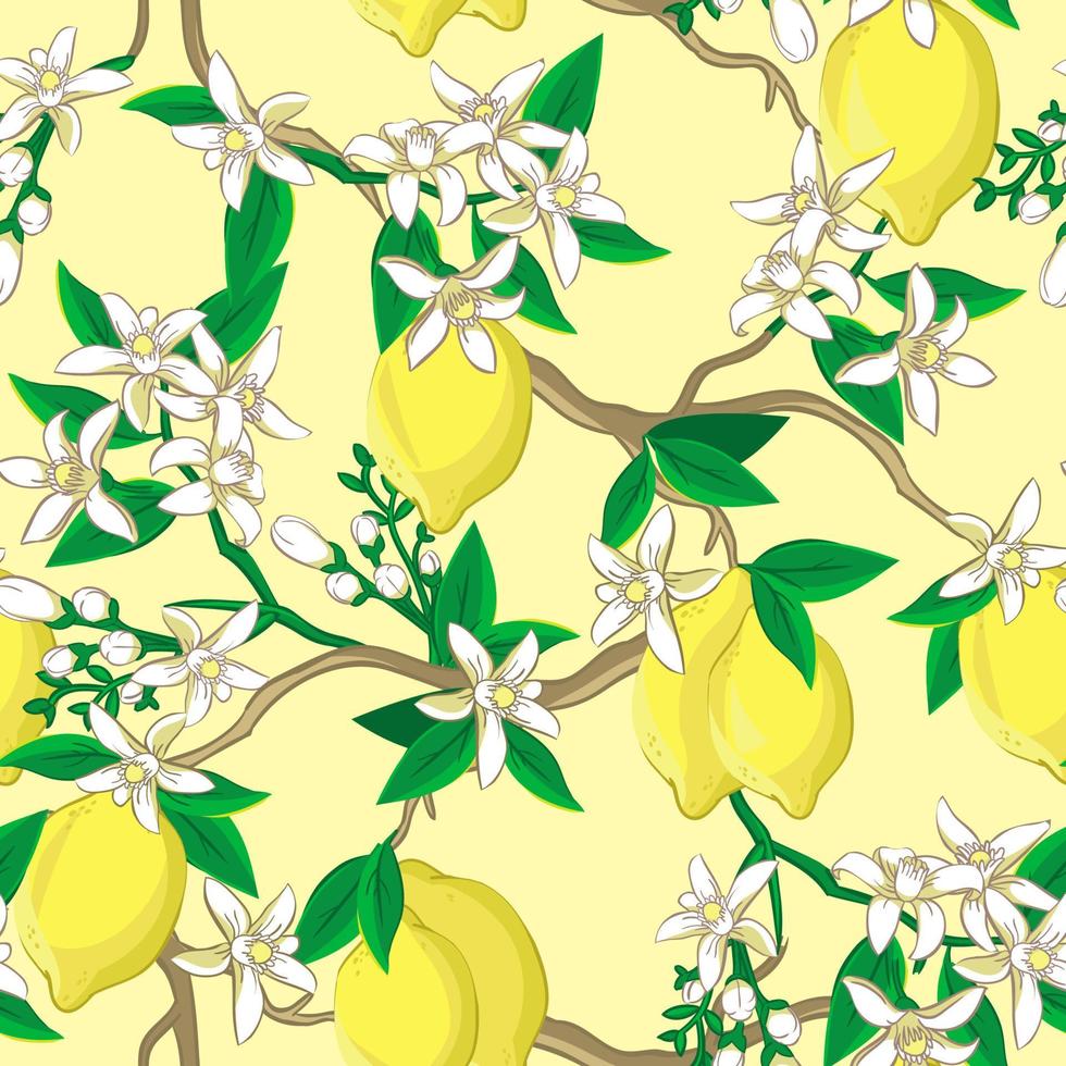 Floral pattern with lemons and white flowers. vector