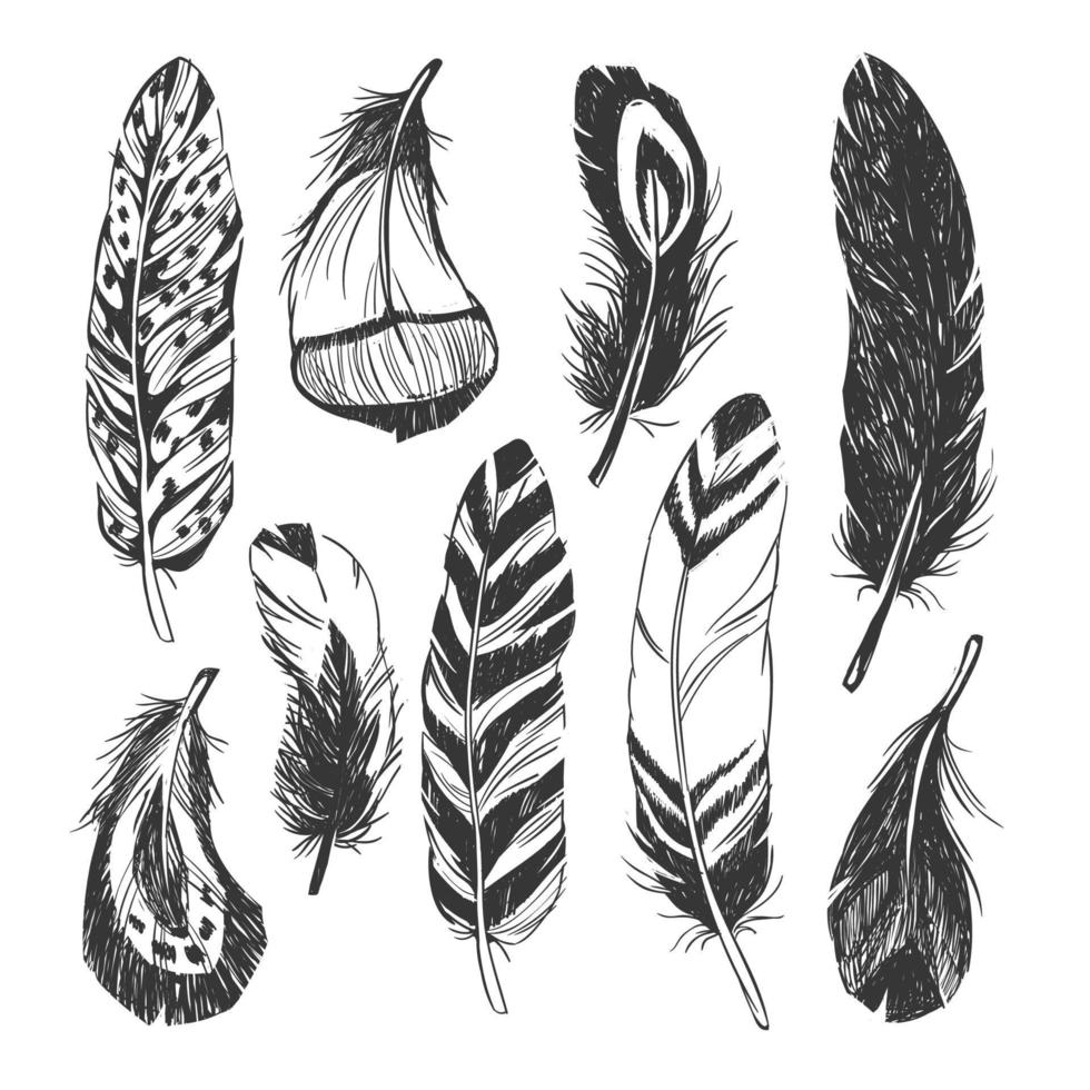 Feather set in Native American Indian style. vector