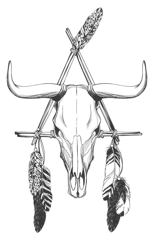 Bull skull with feathers and dreamcatcher. vector