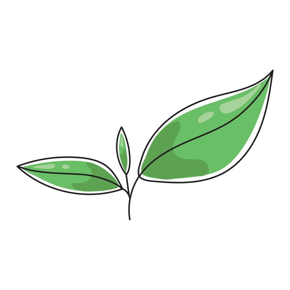 ilustración vectorial de una hoja de té. vector