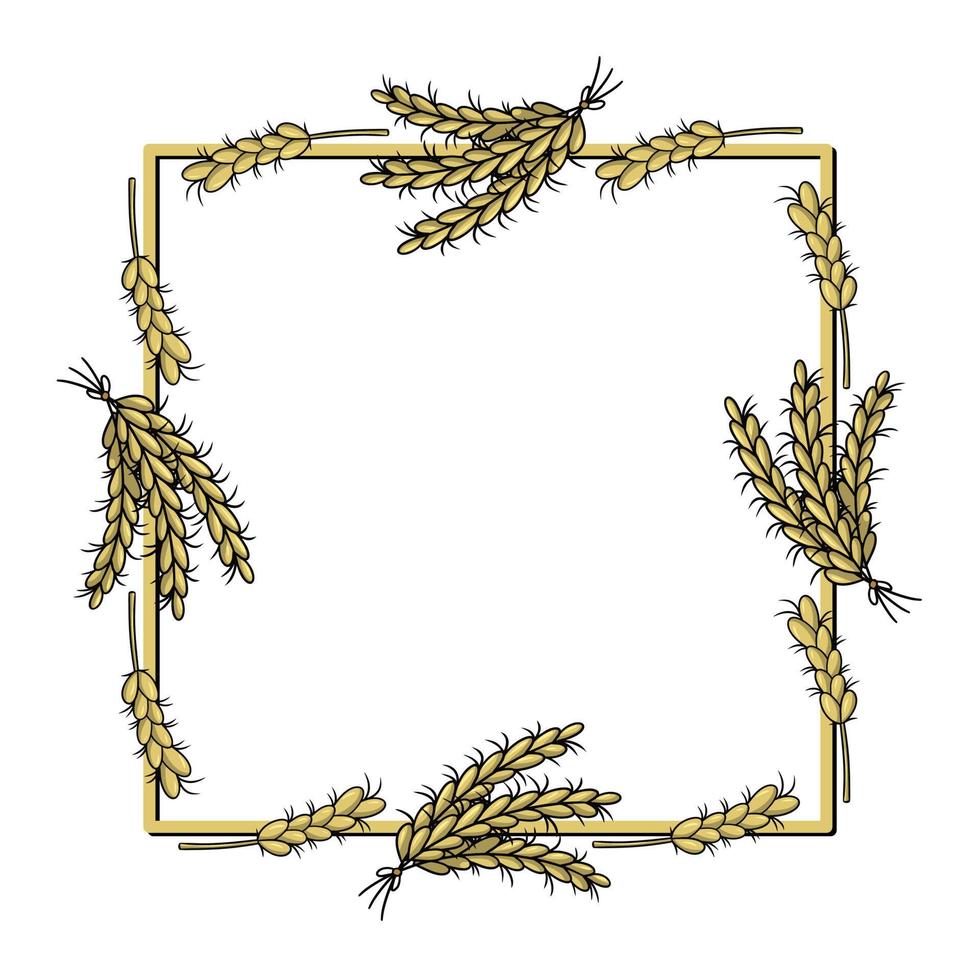 Square frame, rye cereals, yellow ripe ears, copy space, vector illustration in cartoon style on a white background