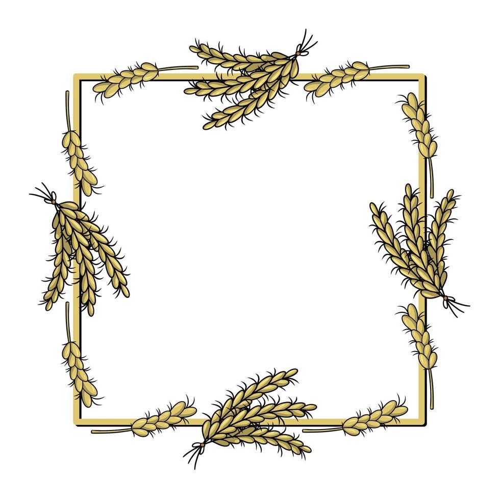 Square frame, rye cereals, yellow ripe ears, copy space, vector illustration in cartoon style on a white background