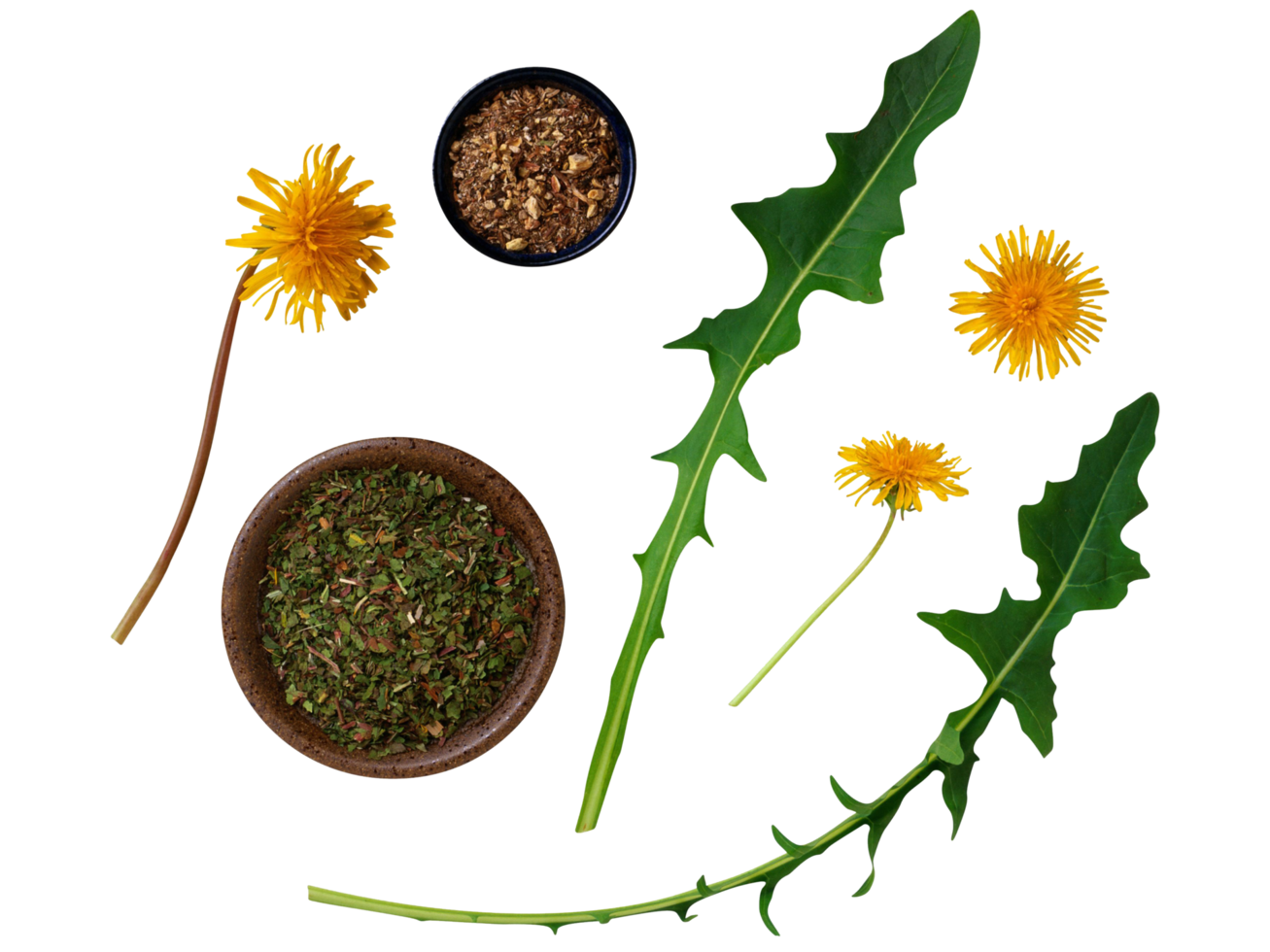 Free spices and herbs on a transparent background 13527569 PNG with  Transparent Background