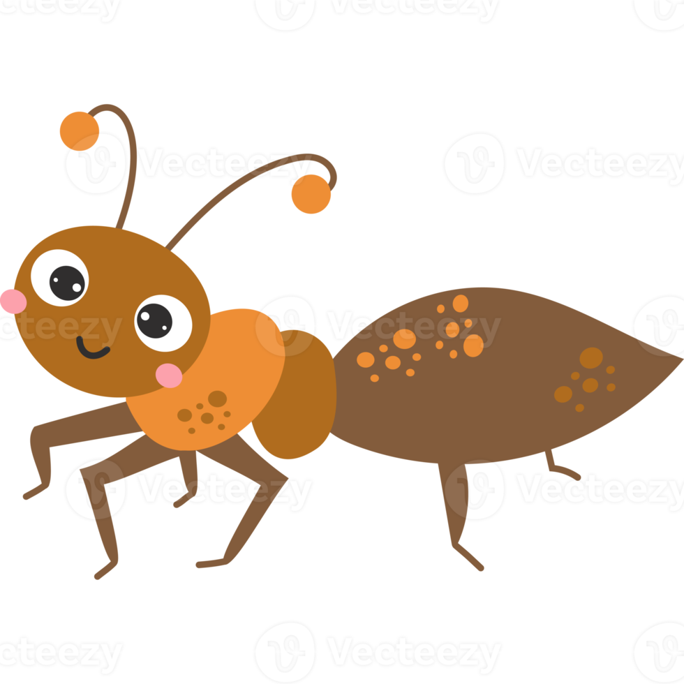 Cute ant. Insect png