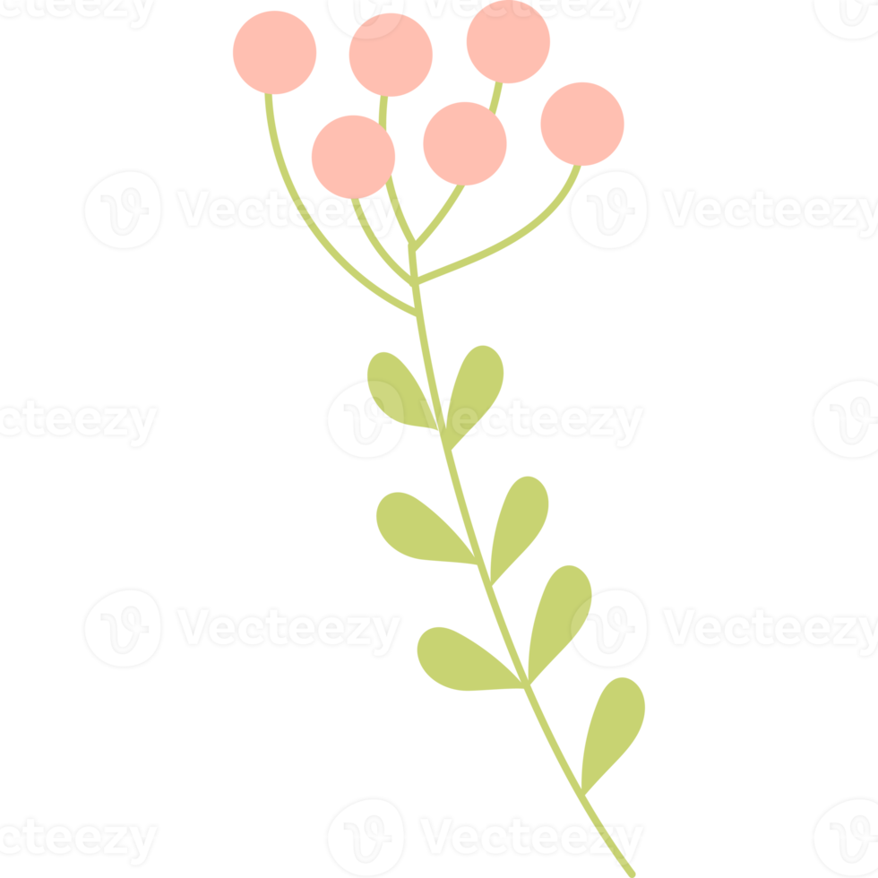 Branch with berries 13528259 PNG