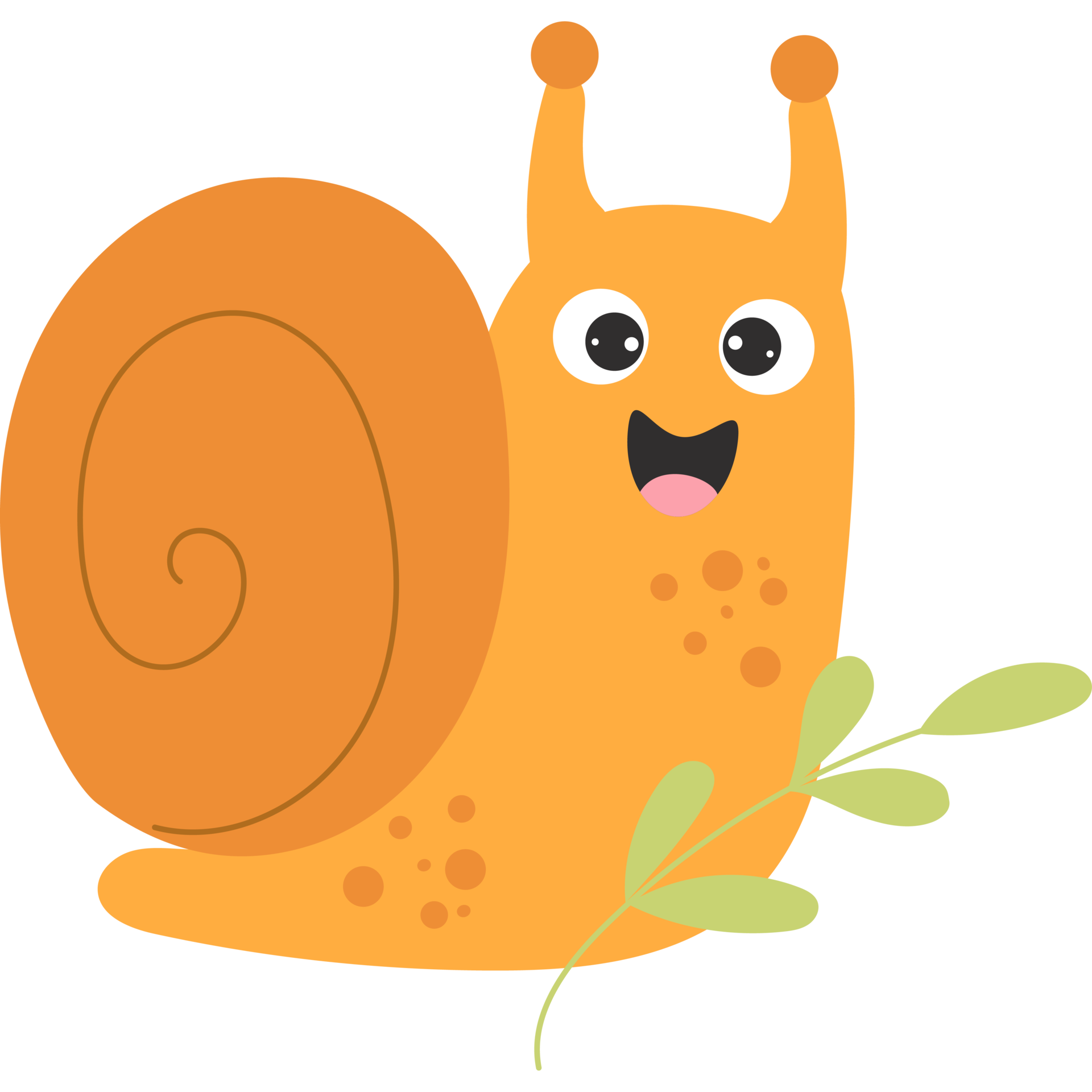 Cute snail with branch 13528270 PNG