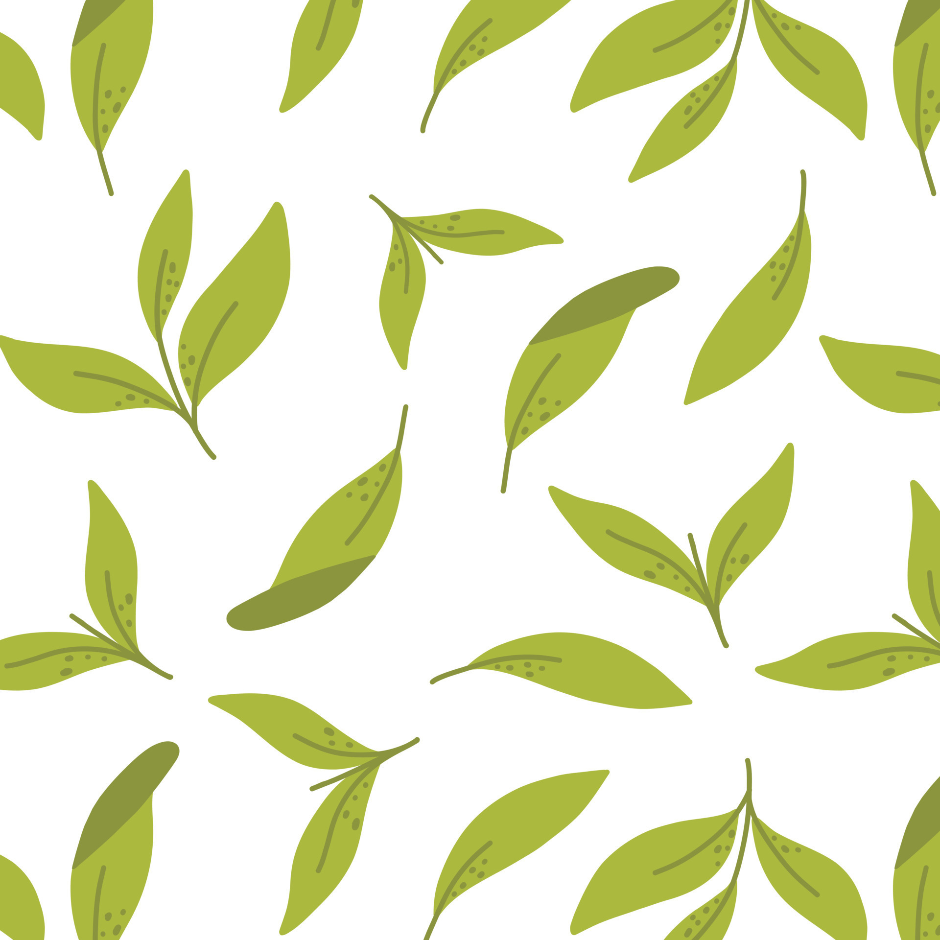 Seamless pattern with green tea leaves. Vector illustration. Pattern