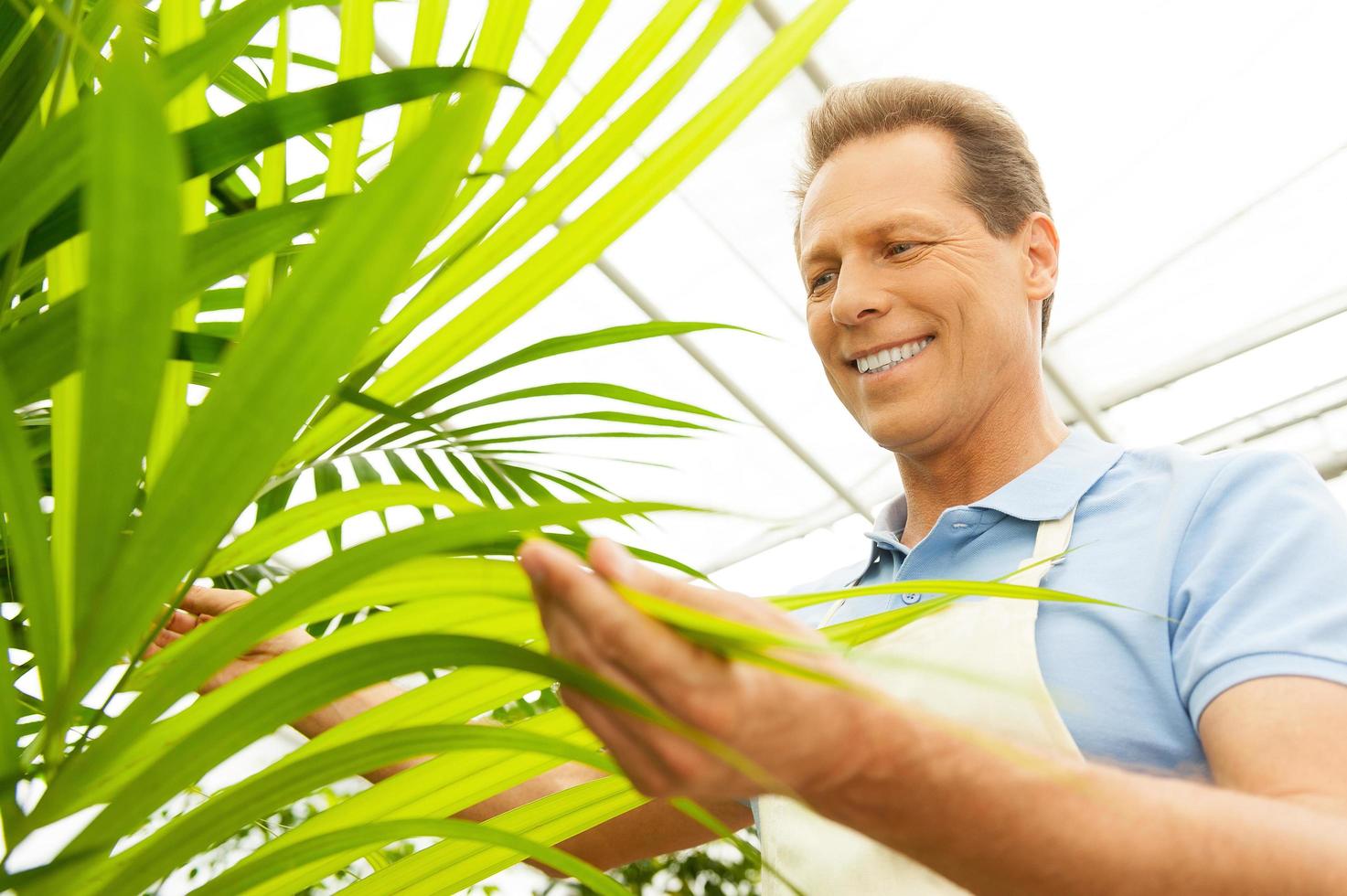 Working with pleasure. Low angle view of handsome mature man in uniform gardening and smiling photo