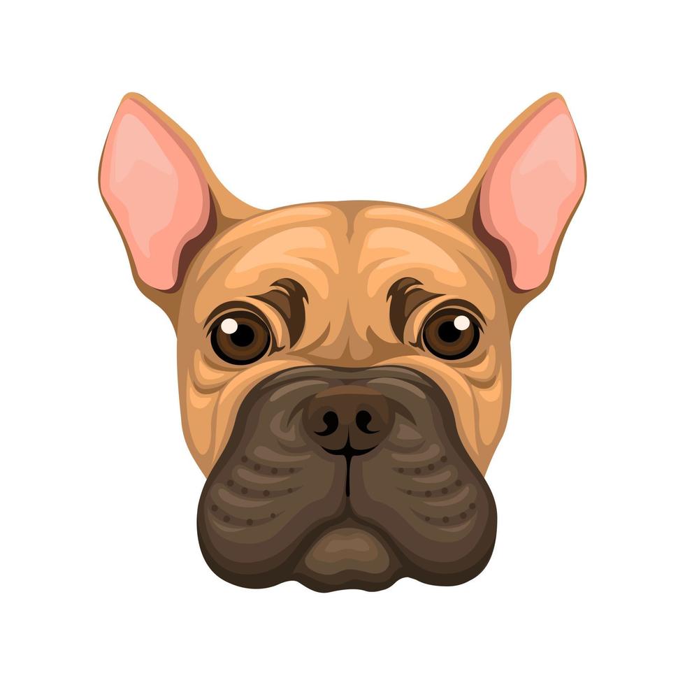 cabeza de cachorro bulldug. vector de ilustración de dibujos animados de carácter de especie animal