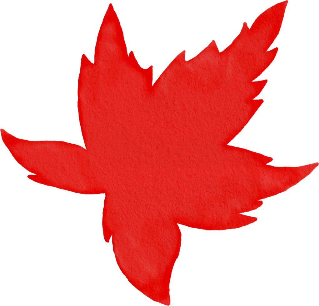 Maple leaf watercolour png