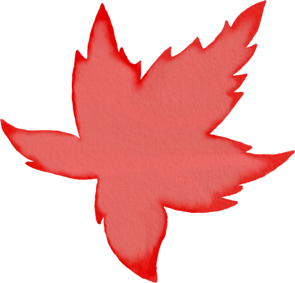 Maple leaf watercolour png