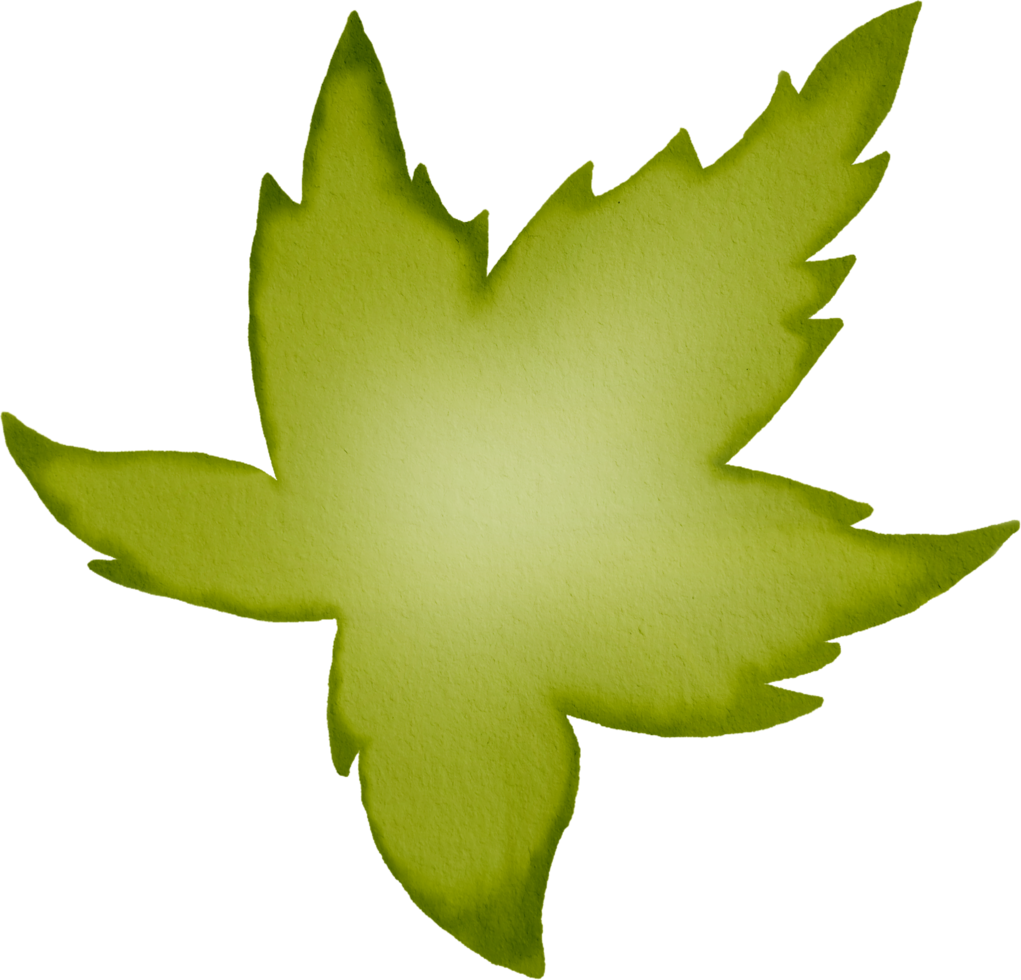 Maple leaf watercolour png