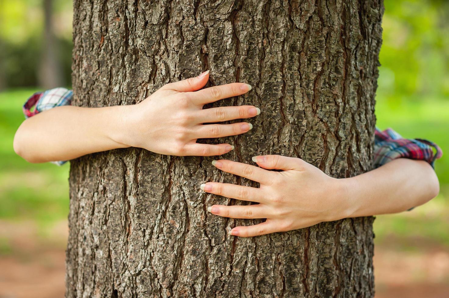 Loving the nature. Close-up of hands gesturing heart shape on the tree photo