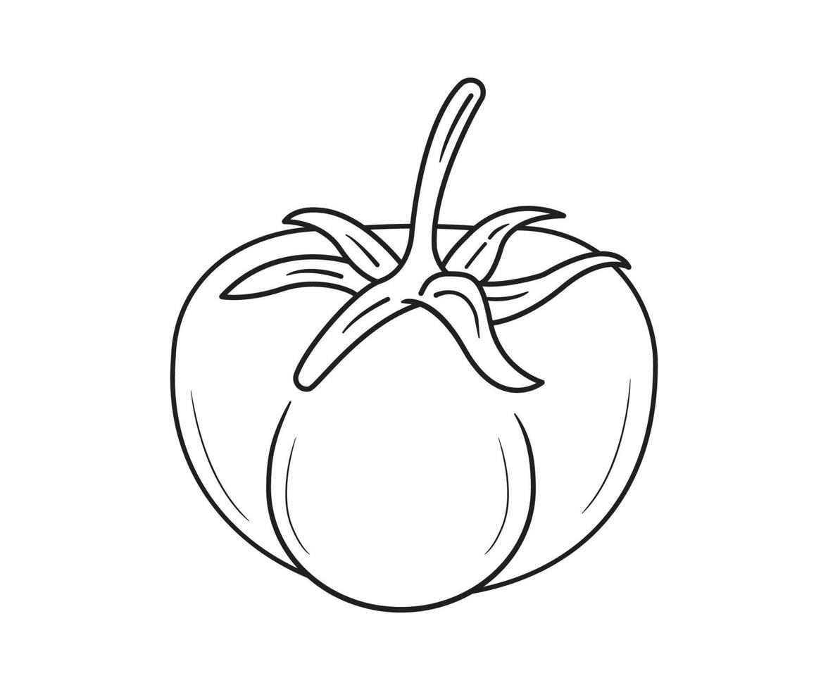 dibujo de tomate para colorear para niños vector