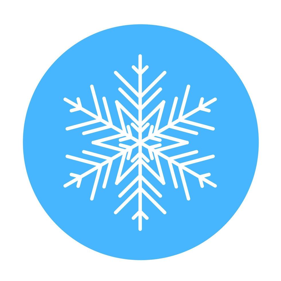 Vector  winter snowflake icon. illustration for web