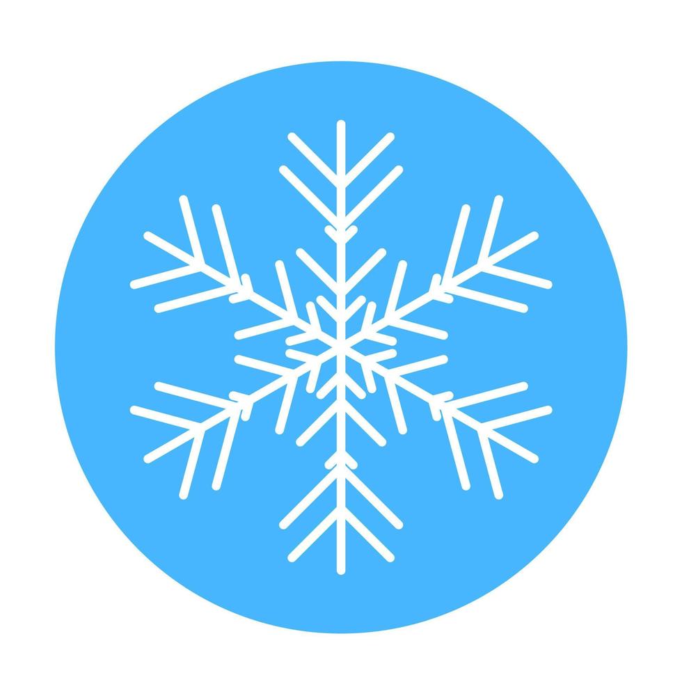 Vector  winter snowflake icon. illustration for web