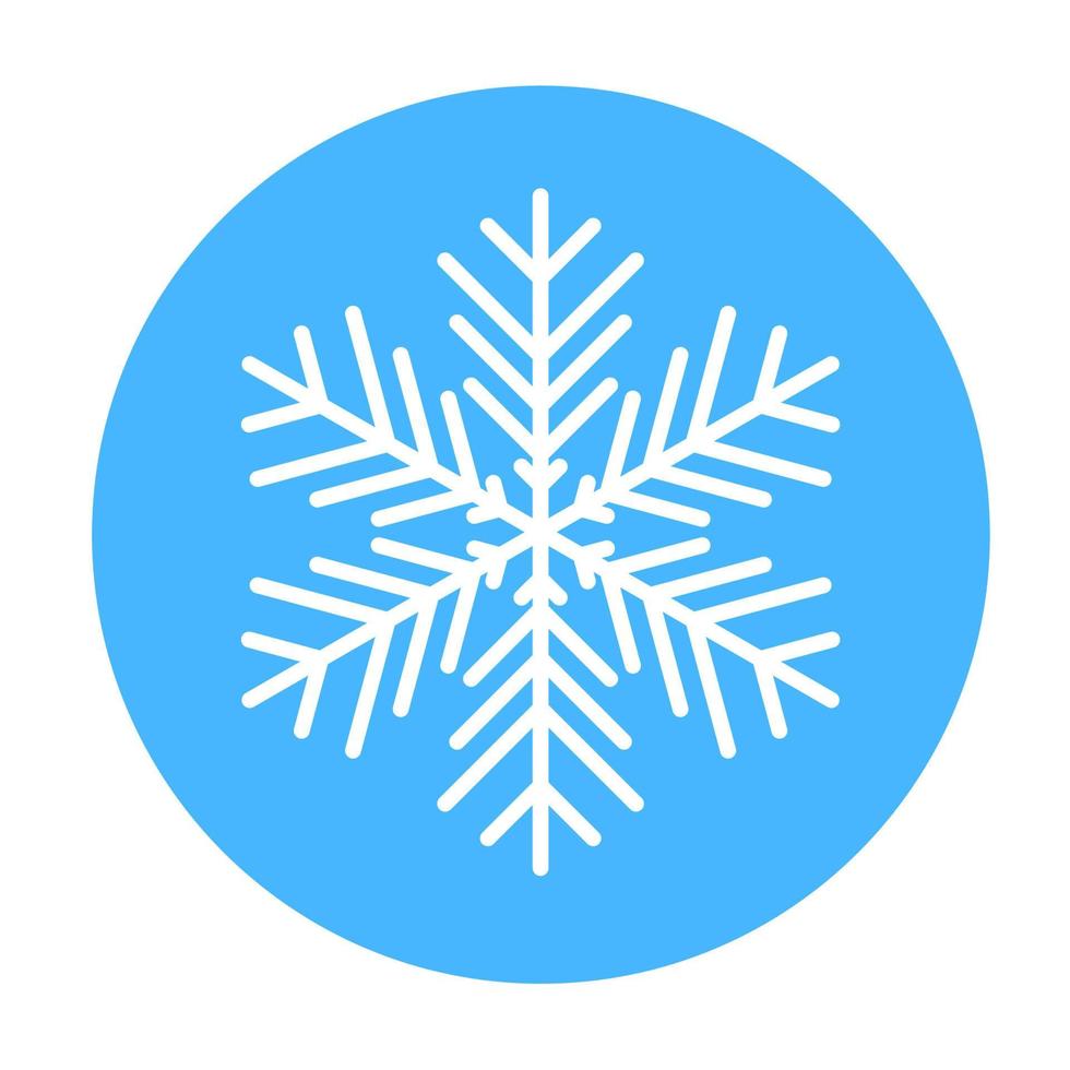 Vector  winter snowflake icon. illustration for web