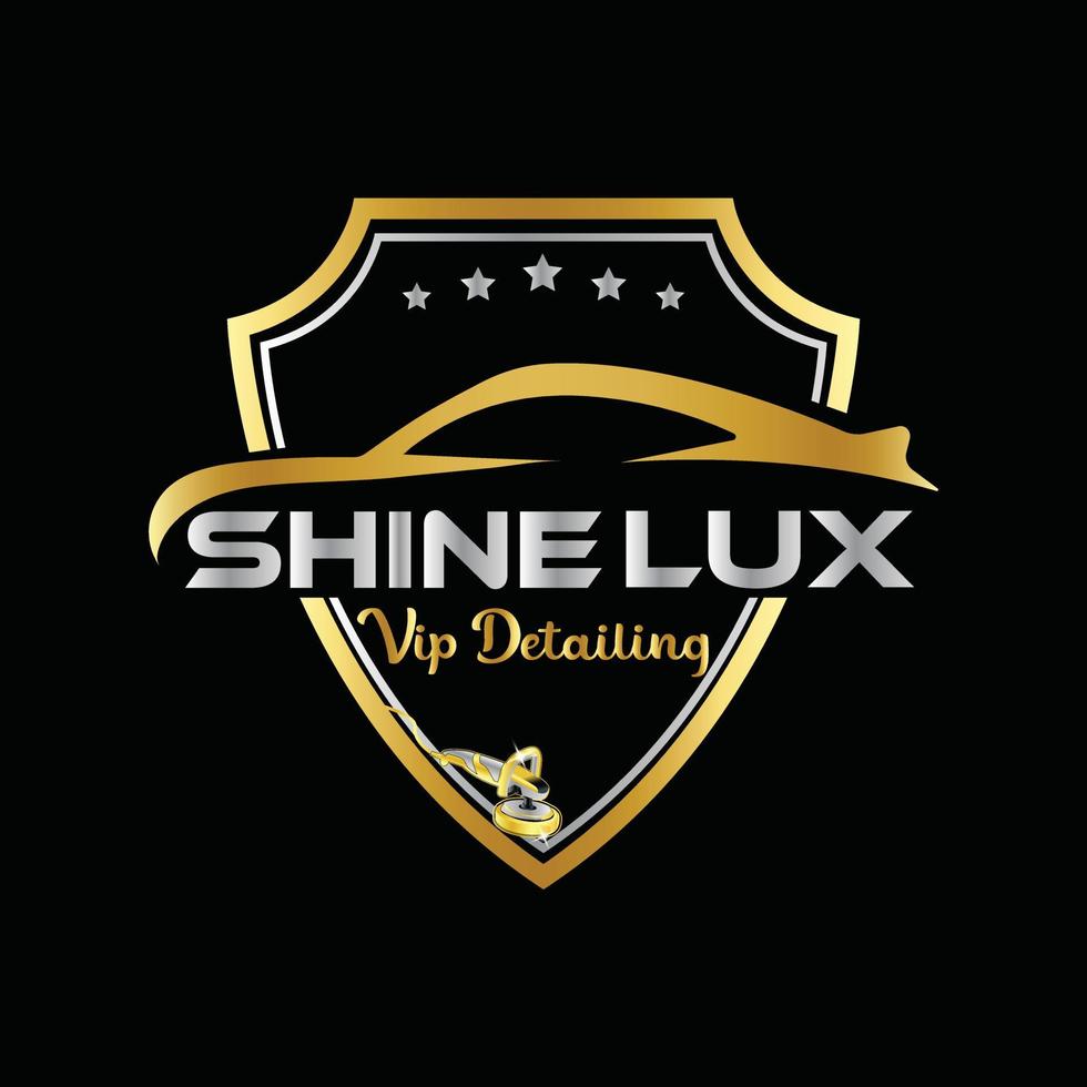 Auto detailing logo vector