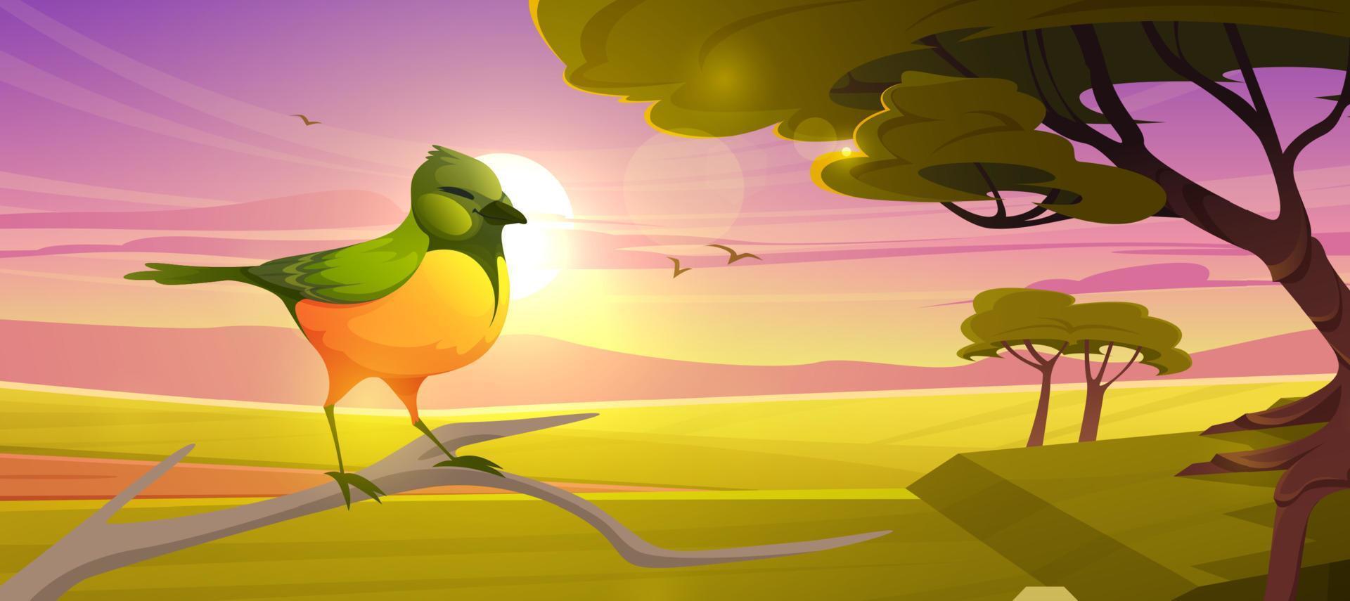 Cute bird sitting on branch in savannah at sunset vector