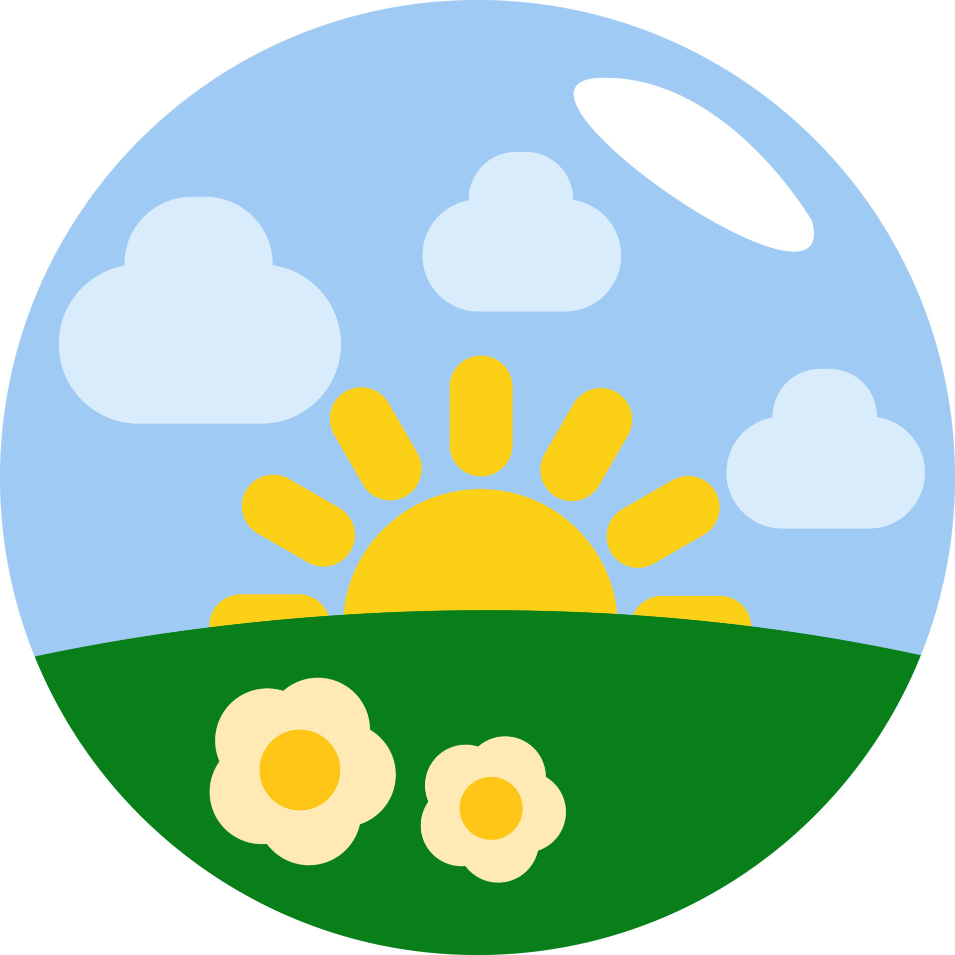 Sun rising in the field of flowers, illustration, vector on a white