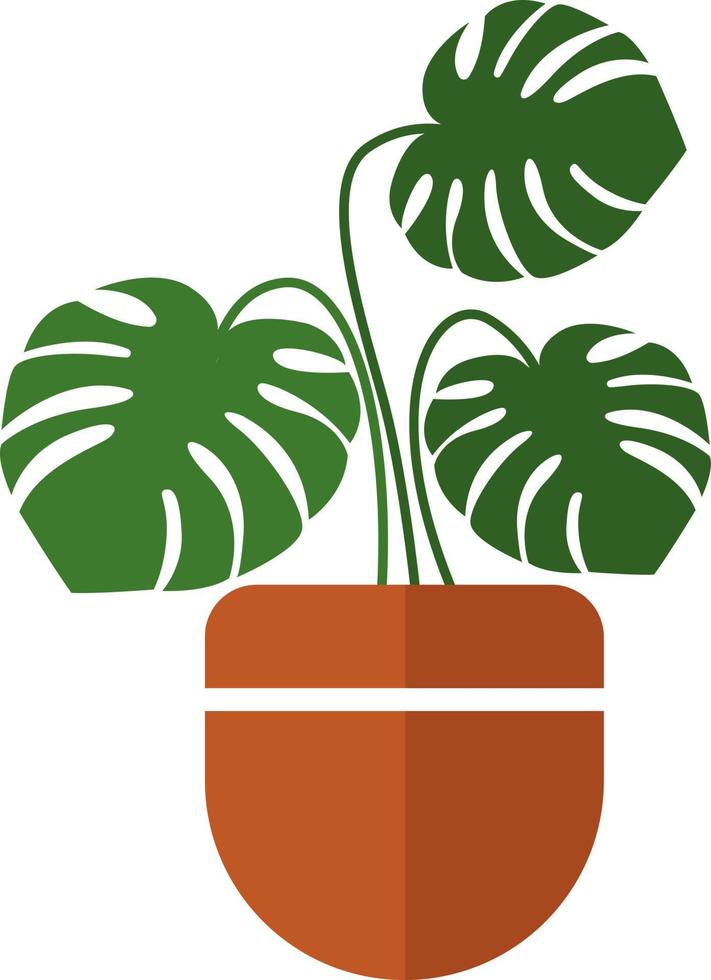 Adam plant in a pot, illustration, vector on white background.